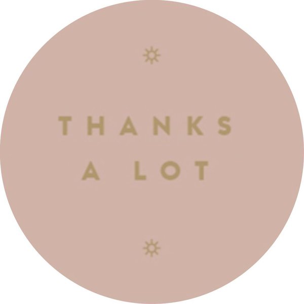 Sticker - THANKS A LOT (18 Stück) rose-goldfoiled