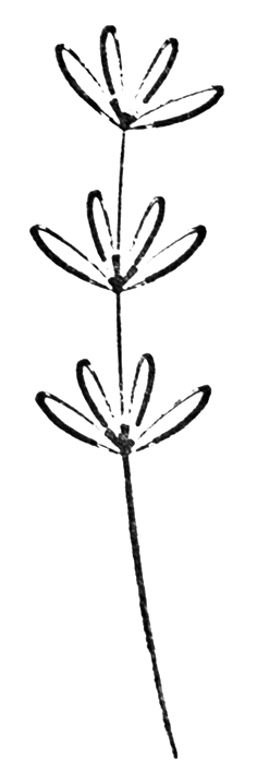Holzstempel - Blumenzweig
