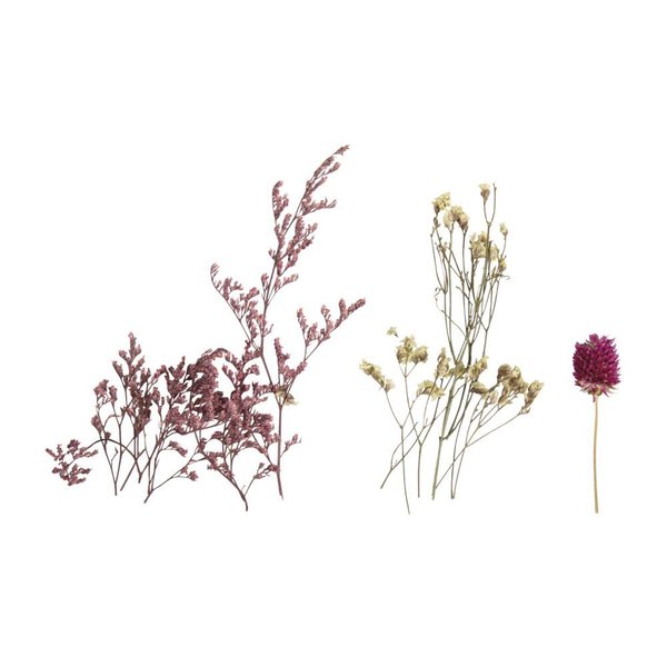 Mini Trockenblumen Set